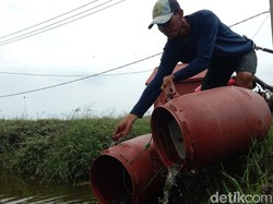 Menengok Kampung Budidaya Ikan Nila di Indramayu, Sekali Panen 2 Ton
