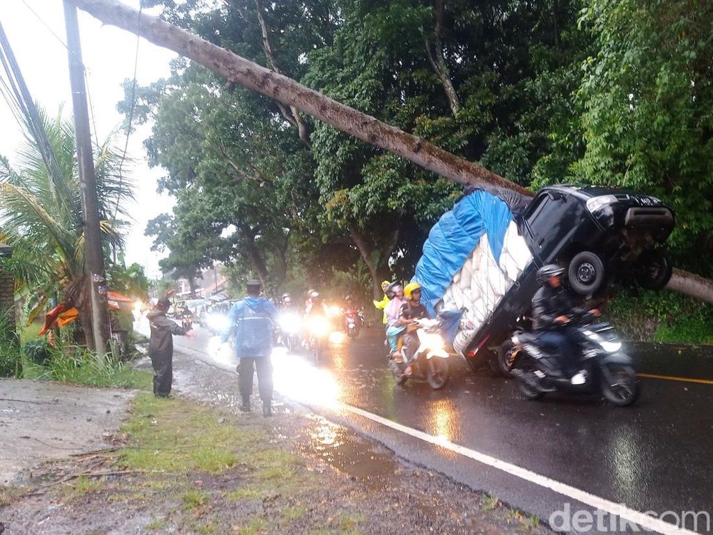 Ada Pohon Tumbang, Arus Lalu Lintas Arah Puncak Macet Ada Pohon Tumbang, Arus Lalu Lintas Arah Puncak Macet