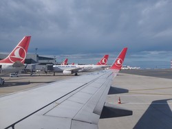 WNI Ngamuk di Turkish Airlines, Maskapai Harus Awasi Penumpang yang Bawa Hewan