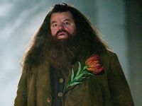 Berita Dan Informasi Robbie Coltrane Pemeran Hagrid Di Harry Potter ...