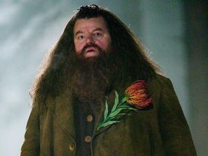Kabar Duka, Pemeran Hagrid di Film Harry Potter Tutup Usia Kabar Duka, Pemeran Hagrid di Film Harry Potter Tutup Usia