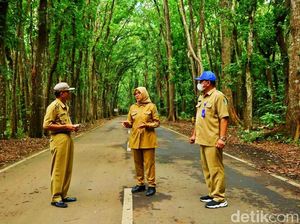 Begini Cara Banyuwangi Gerakkan Ekonomi Lewat Pariwisata
