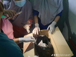 Heboh Temuan Janin di TPU Jambi, Ternyata Dibuang Orang Tuanya