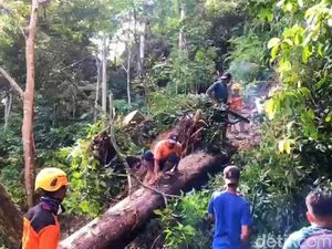 Sukamade Banyuwangi Terisolir Longsor, Stok Makanan Warga Menipis Sukamade Banyuwangi Terisolir Longsor, Stok Makanan Warga Menipis