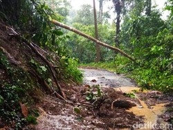 Longsor Jalur Menuju Wisata Sukamade Banyuwangi Bertambah, 2 Tebing Ambrol