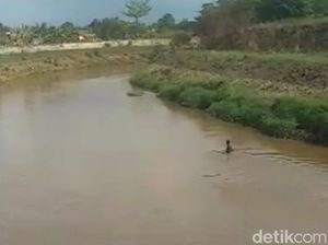 Dua Bocah Hilang Terseret Arus Sungai Welang Pasuruan Dua Bocah Hilang Terseret Arus Sungai Welang Pasuruan