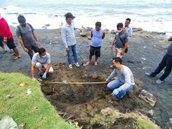 Lagi Aktivitas di Pantai Bali, Eh Ketemu Kerangka Manusia