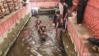 Momen Batang Kayu Keramat Diangkat dari Kolam Keramat di Cirebon