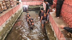 Momen Batang Kayu Keramat Diangkat dari Kolam Keramat di Cirebon