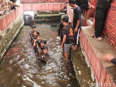 Momen Batang Kayu Keramat Diangkat dari Kolam Keramat di Cirebon