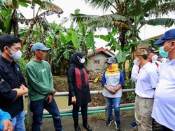 Tinjau Banjir Pesanggaran, Bupati Ipuk Minta Normalisasi Sungai Dipercepat