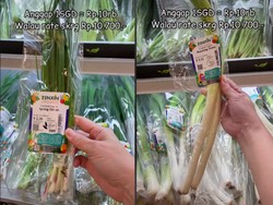 Belanja di Singapura, Harga Daun Bawang 2 Ikat Rp 33 Ribu