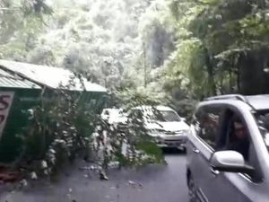 Truk Trailer Kecelakaan di Jalan Poros Bone-Makassar, Lalin Macet 2 Jam