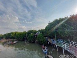 Banten Terancam Tenggelam, Apa yang Dilakukan Pemprov?