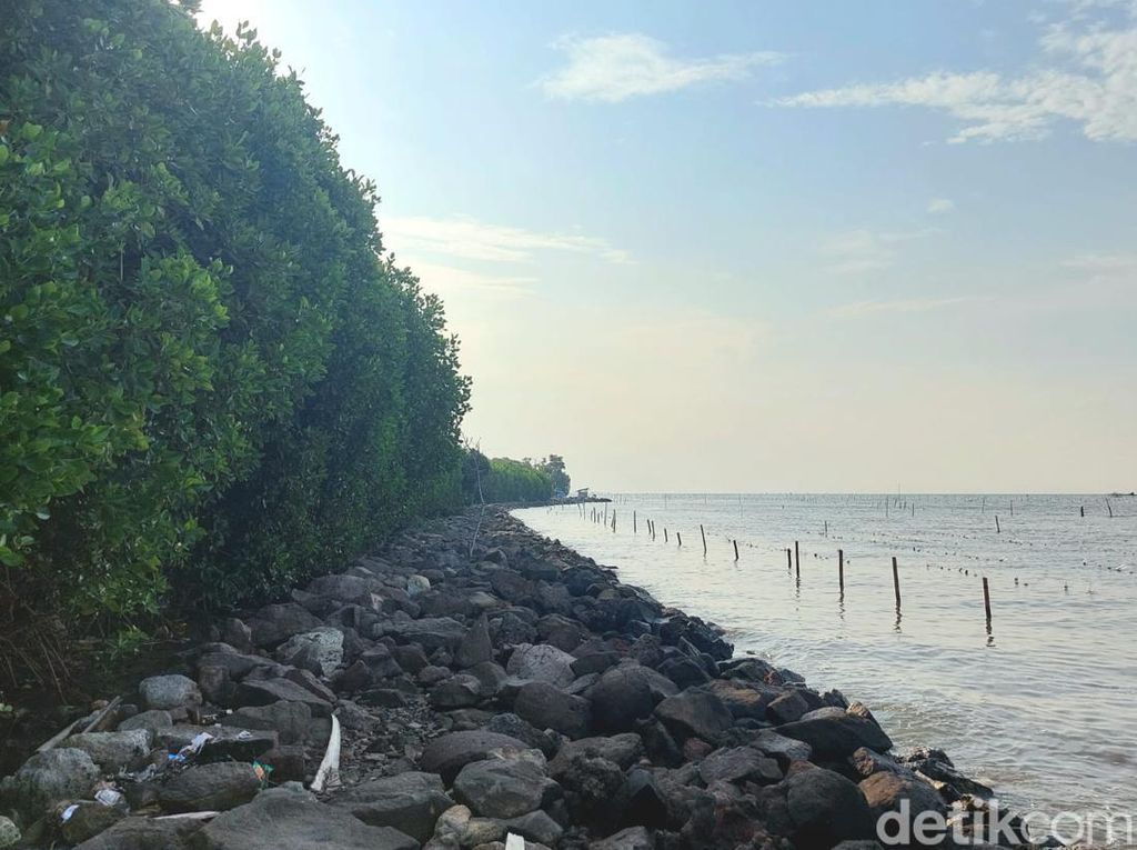Banten Terancam Tenggelam Bukan Lagi Wacana Kosong