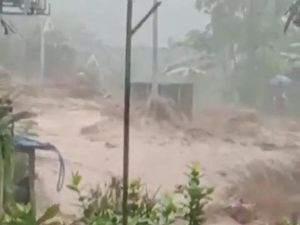 Kengerian Saat Longsor Menerjang Kampung Teh di Malang