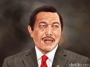 Luhut Minta Semua yang Punya Kebun Sawit Lapor ke Pemerintah! Luhut Minta Semua yang Punya Kebun Sawit Lapor ke Pemerintah!