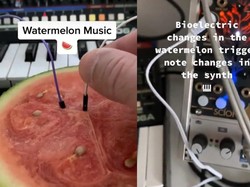 Keren! Musisi Ini Bikin Musik dari Semangka hingga Daun Selada