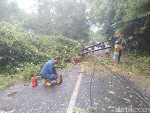 Angin Kencang di Bangkalan Tumbangkan Pohon Tua-Robohkan 2 Tiang Telepon