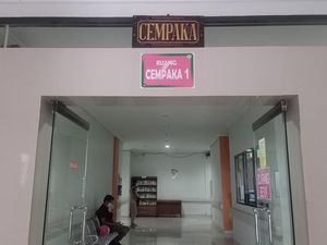 1 Pasien Ginjal Akut Misterius RS Ngoerah Membaik, Fungsi Ginjal 54% 1 Pasien Ginjal Akut Misterius RS Ngoerah Membaik, Fungsi Ginjal 54%