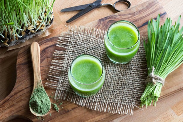 Rumput gandum disajikan sebagai jus/Foto: iStock/Madeleine_Steinbach manfaat wheatgrass bagi kesehatan