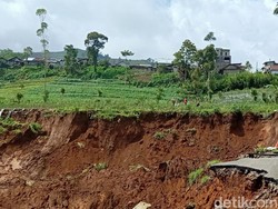 4 Cara Menghitung Luas Tanah yang Mudah dan Akurat