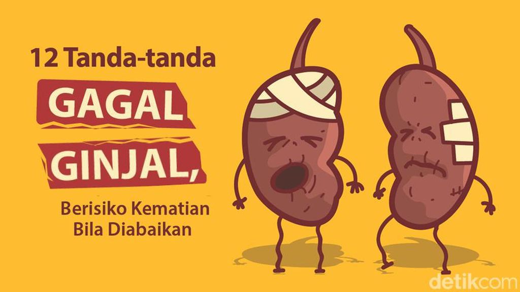 12 Tanda Gagal Ginjal, Sepele Tapi Bisa Fatal Jika Diabaikan 12 Tanda Gagal Ginjal, Sepele Tapi Bisa Fatal Jika Diabaikan