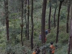 Viral Pria Tinggal di Atas Pohon Hutan Pinus Pekalongan, Ini Kondisinya