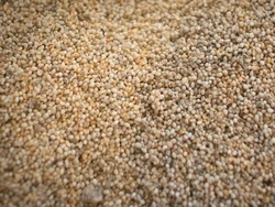 Bukan Telur Ikan, Kaviar Meksiko Ini Berasal dari Telur Serangga!