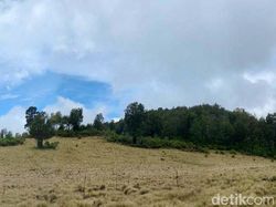Eksotisme Argopuro Jatim, Gunung Terpanjang di Pulau Jawa