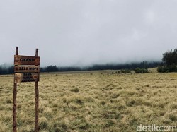 Murah Banget! Naik Gunung Argopuro dari Jakarta Ongkosnya Rp 600 Ribu-an