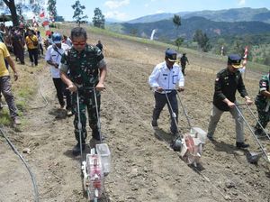 Dukung Ketahanan Pangan, Pangkostrad Serahkan Lahan Jagung-Sorgum di NTT
