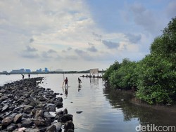 Bukan Cuma Ancol, di Jakarta Utara juga Ada Pantai Marunda