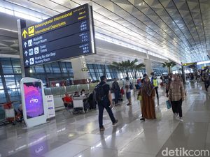 5 Hal tentang Penumpang Bus Bandara Soetta Ajak Tabrakan Bersama 5 Hal tentang Penumpang Bus Bandara Soetta Ajak Tabrakan Bersama
