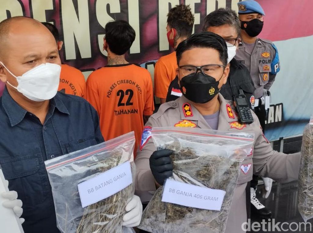 Polisi Sita Ganja 1 Kg dari Dua Pengedar di Cirebon Polisi Sita Ganja 1 Kg dari Dua Pengedar di Cirebon