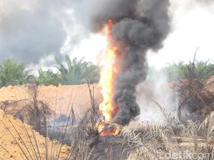 12 Sumur Minyak Ilegal di Muba Sumsel Meledak, 1 Orang Terbakar 12 Sumur Minyak Ilegal di Muba Sumsel Meledak, 1 Orang Terbakar