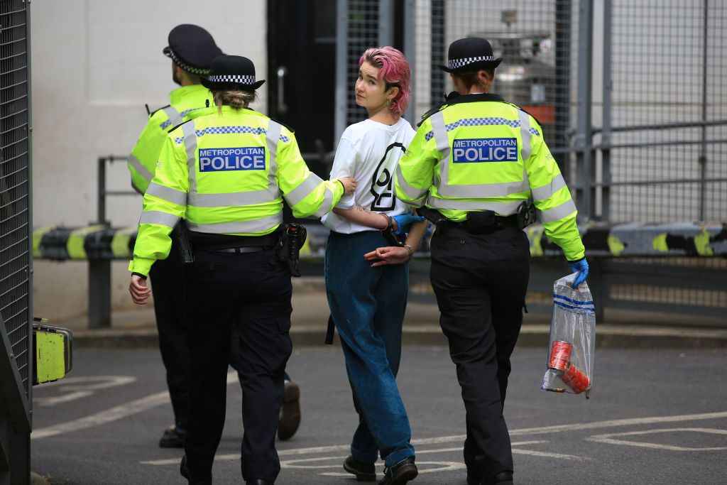 LONDON, ENGLAND  - OCTOBER 14:  A Just Stop Oil activist is arrested after Van Gogh's sunflowers had soup thrown on it at the National Portrait Gallery on October 14, 2022 in London, England. (Photo by Martin Pope/Getty Images)