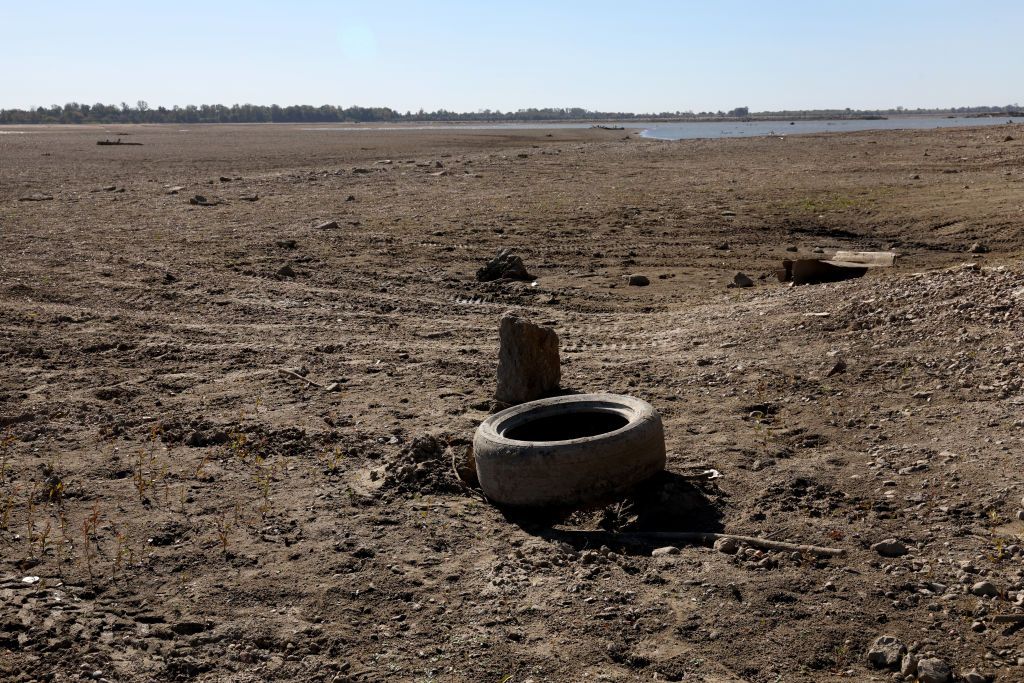 PORTAGEVILLE, MISSOURI - OCTOBER 18: Treasure hunters comb the shoreline of the Mississippi River after it was exposed by low water levels on October 18, 2022 near Portageville, Missouri. Lack of rain in the Ohio River Valley and along the Upper Mississippi has caused the Mississippi River south of the confluence of the Ohio River to reach near record low levels. This condition is wreaking havoc with barge traffic, driving up shipping prices and threatening crop exports and fertilizer shipments as the soybean and corn harvest gets into full swing. (Photo by Scott Olson/Getty Images)