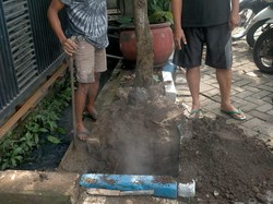 Teka-teki Asap Misterius Keluar dari Tanah di Sidoarjo