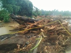 KPH Bali Barat Bantah Banjir Jembrana akibat Hutan Gundul