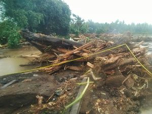 KPH Bali Barat Bantah Banjir Jembrana akibat Hutan Gundul KPH Bali Barat Bantah Banjir Jembrana akibat Hutan Gundul
