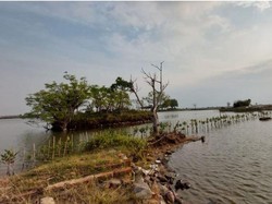 Banten Terancam Tenggelam Gegara Abrasi Parah