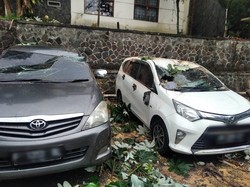 Dua Mobil Ringsek Tertimpa Pohon di Parkiran Kampus UPI