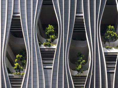 Adem! Singapura Punya Taman Langit Baru Berisikan 80 Ribu Pohon