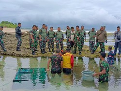 Kodam III Siliwangi Tebar Ratusan Benur Lobster di Santolo Garut