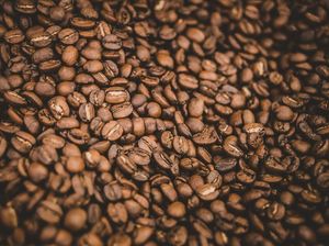 Contoh Keunggulan Komparatif yang Ada di Indonesia