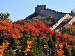 Berukuran Raksasa, Mengapa Tembok Besar Cina Tidak Terlihat dari Luar Angkasa?