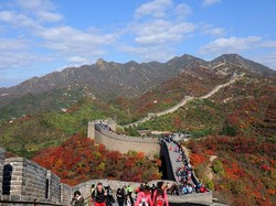 Apa yang Bikin Tembok Besar China Berdiri Kokoh? Ternyata Ulah Organisme Kecil Ini