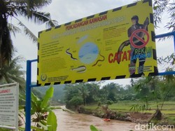 Awas! Jangan Coba-coba Tangkap Ikan Sidat di Ciamis