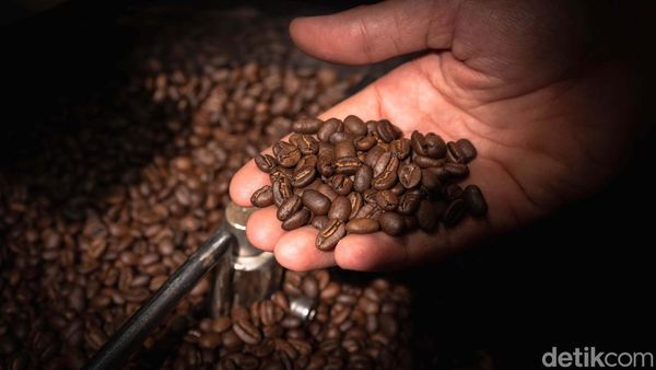 Pecinta Kopi, Yuk Intip Proses Penyangraian Biji Kopi